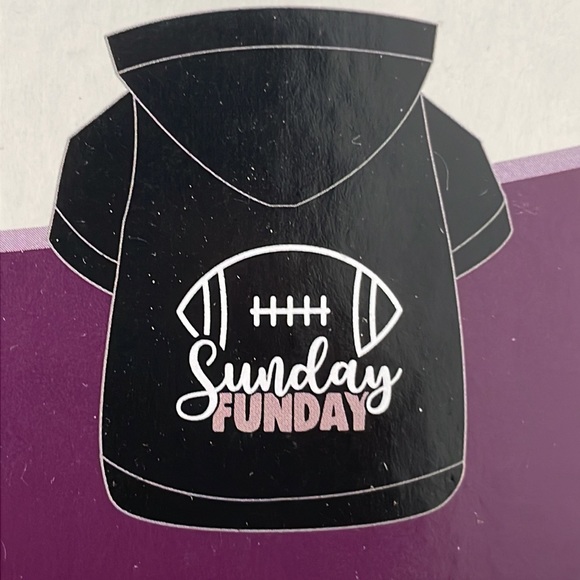 Sunday Funday football hoodie for dog - Picture 3 of 3